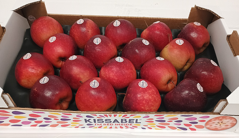 Mela Kissabel - 2,50/2,80 euro al chilogrammo